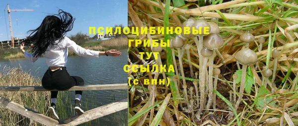 альфа пвп Баксан
