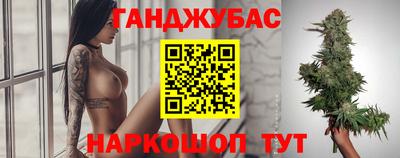 дживик Кингисепп