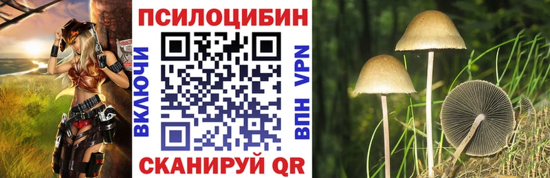 где можно купить   Минеральные Воды  Псилоцибиновые грибы Psilocybine cubensis 