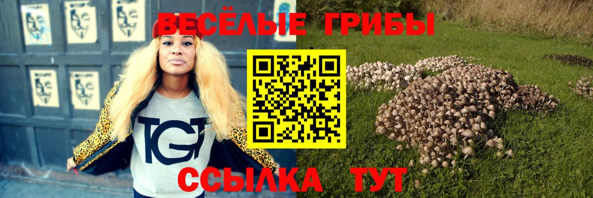 Псилоцибиновые грибы Psilocybine cubensis  Вход с VPN  Минеральные Воды 