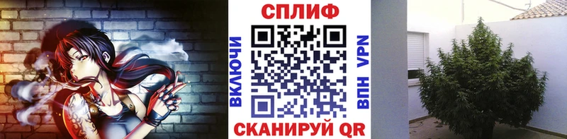 shop наркотические препараты  Минеральные Воды  МАРИХУАНА AK-47 